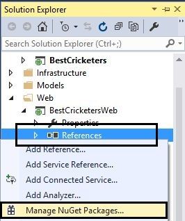 Adding NuGet Package